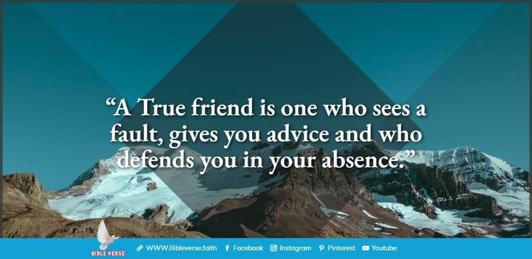 quotes about friendship (48)