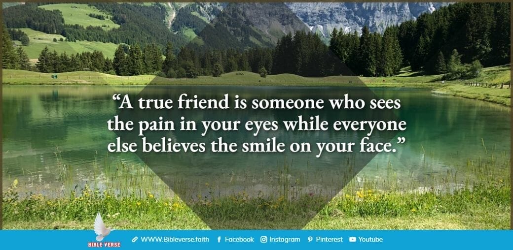 quotes about friendship (50)