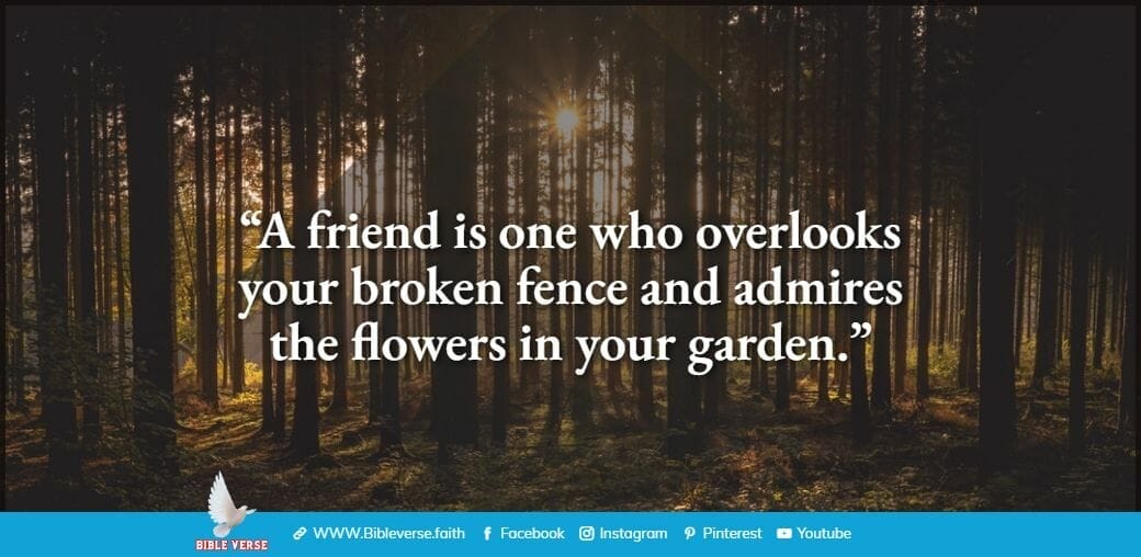 quotes about friendship (52)