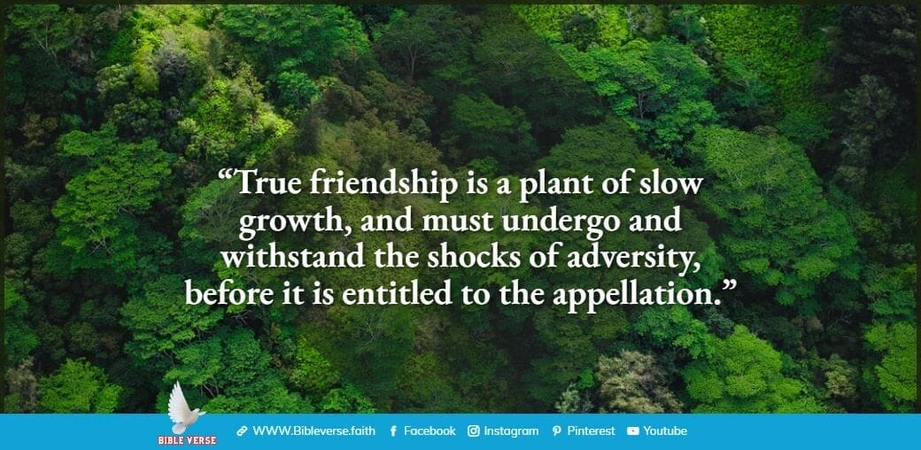 quotes about friendship (55)