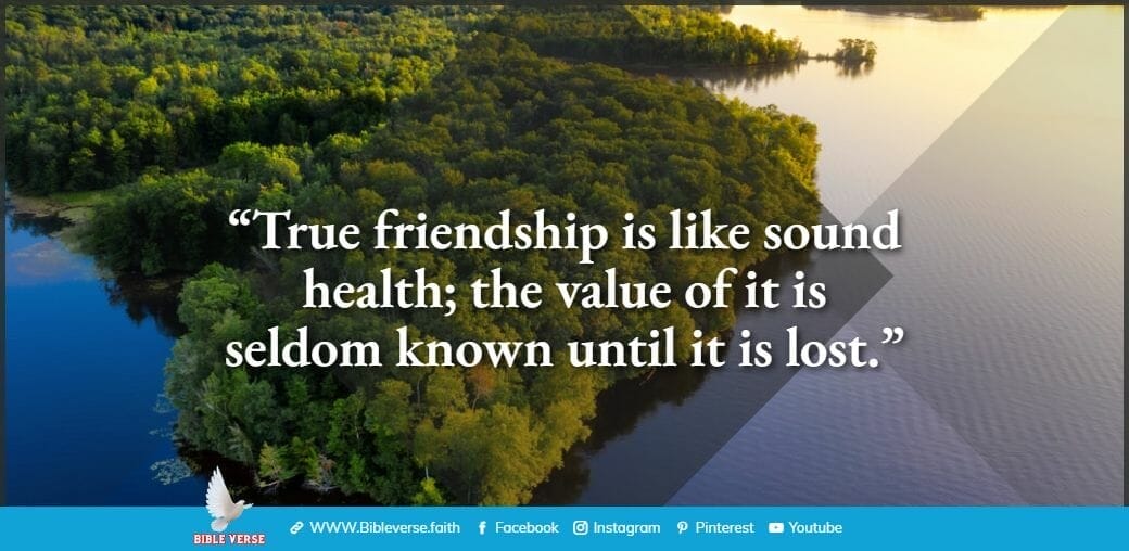 quotes about friendship (56)
