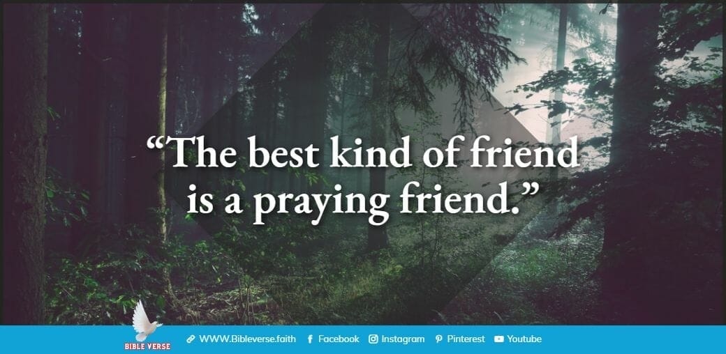 quotes about friendship (59)