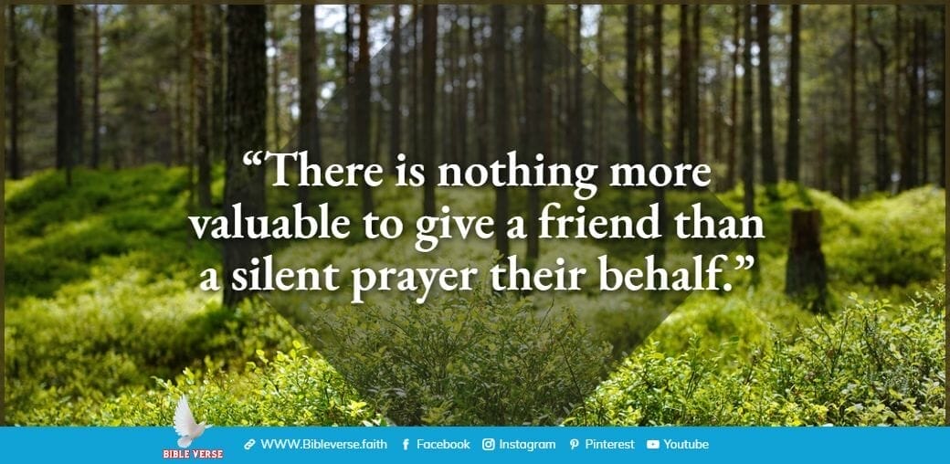 quotes about friendship (61)