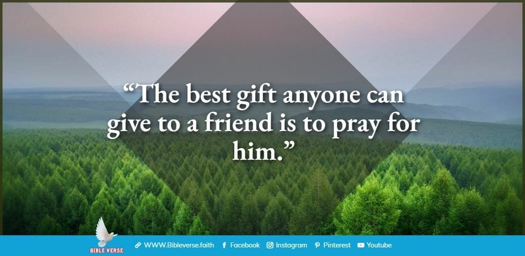 quotes about friendship (66)