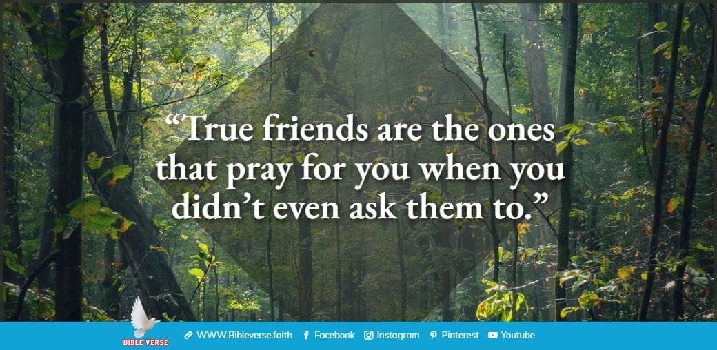 quotes about friendship (67)