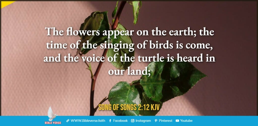 song of songs 2 12 kjv bible verses about flowers