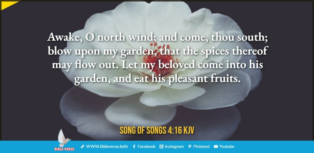song of songs 4 16 kjv bible verses about flowers