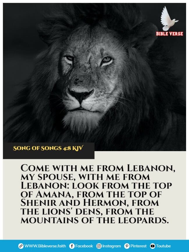 song of songs 4 8 kjv animals in the bible verses