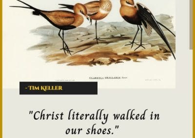 tim keller inspirational christian quotes about life