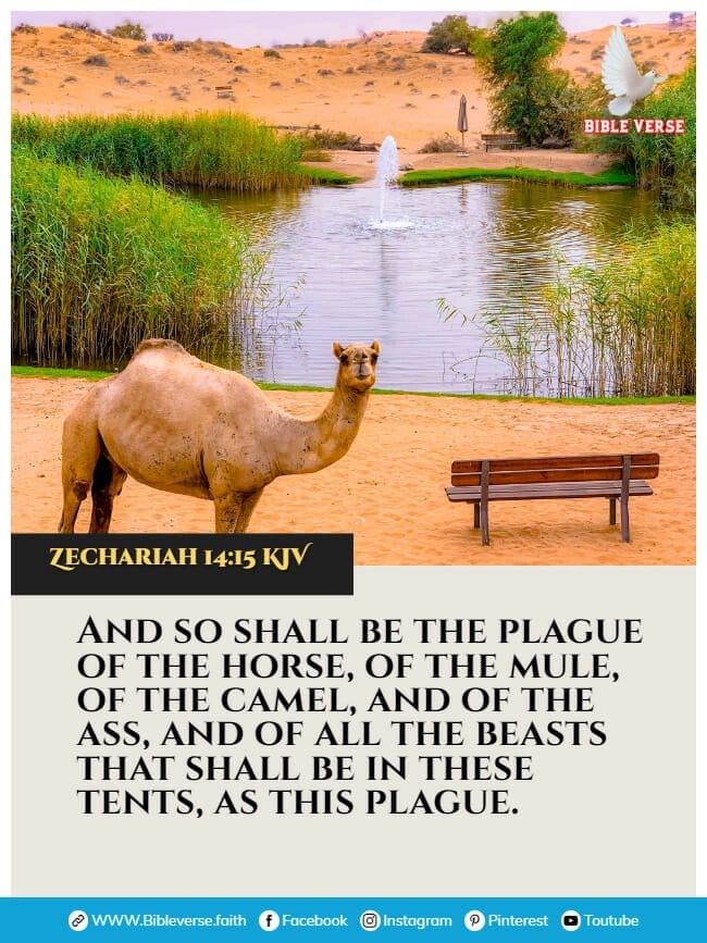 zechariah 14 15 kjv animals in the bible verses