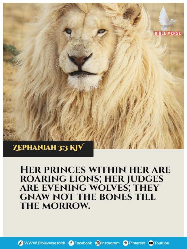 zephaniah 3 3 kjv animals in the bible verses