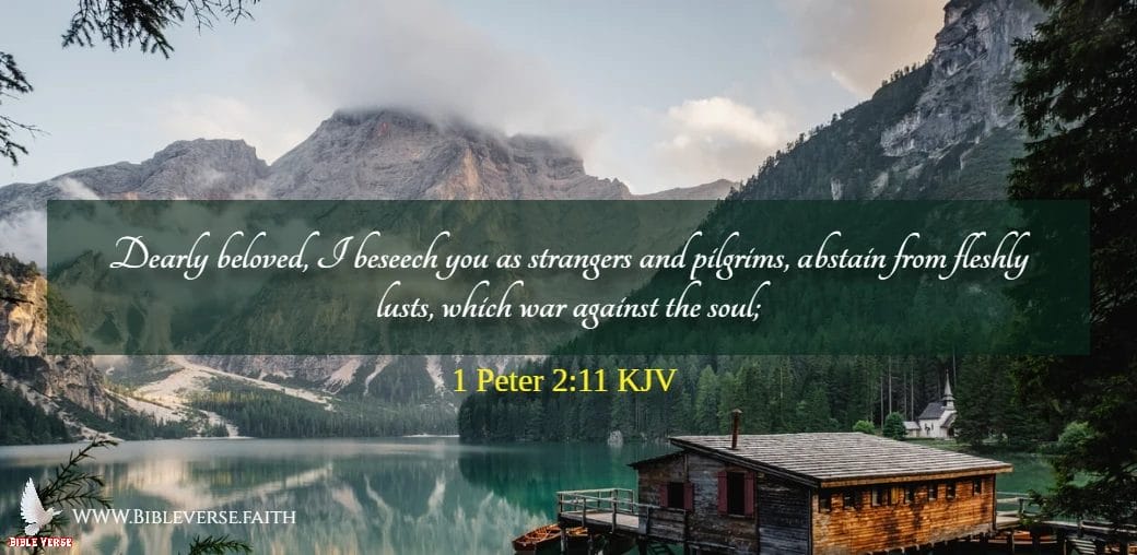 1 peter 2 11 kjv bible verses on war images
