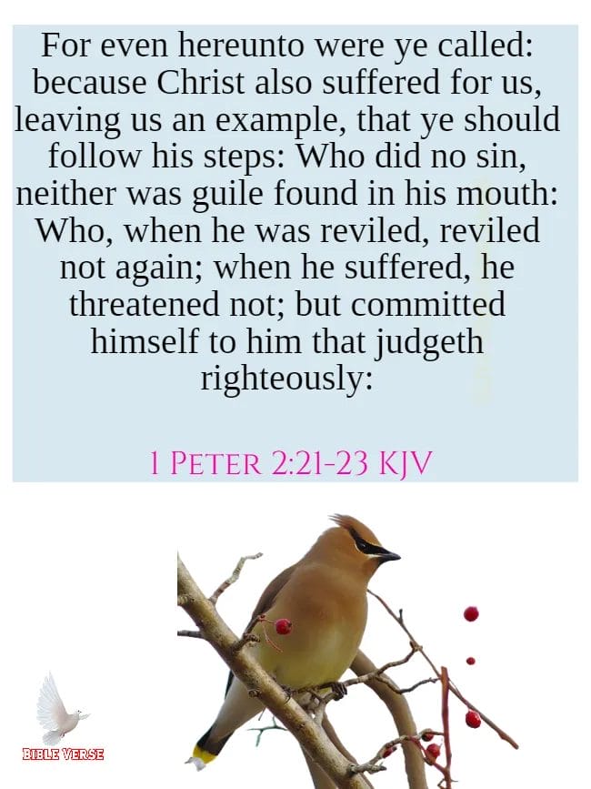 1 peter 2 21 23 kjv bible verses about revenge images