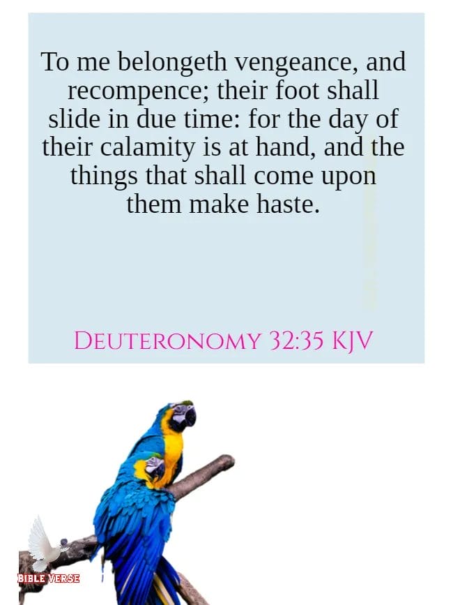 deuteronomy 32 35 kjv bible verses about revenge images