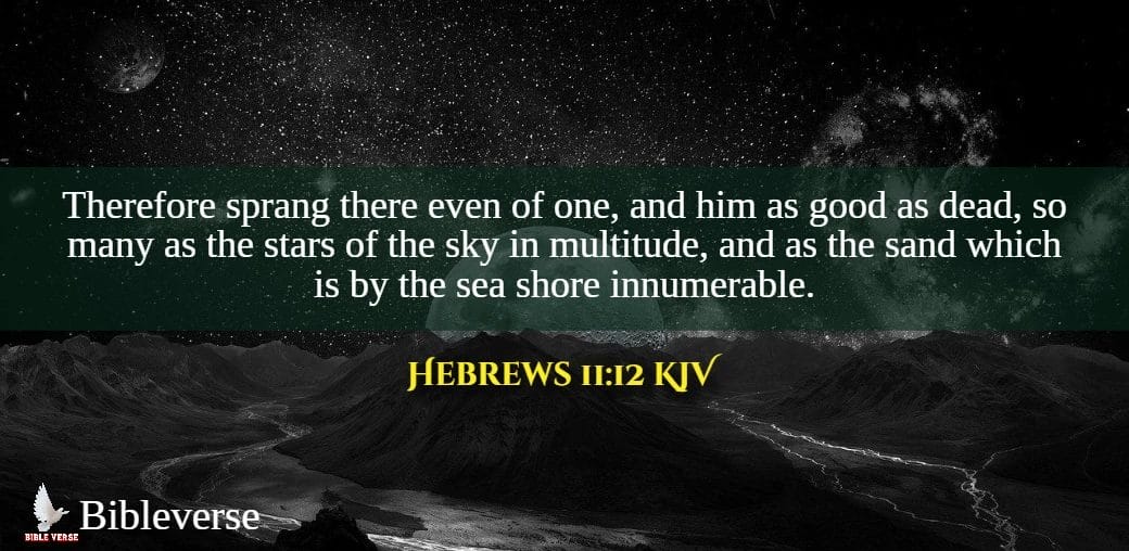 hebrews 11 12 kjv stars in bible verses images
