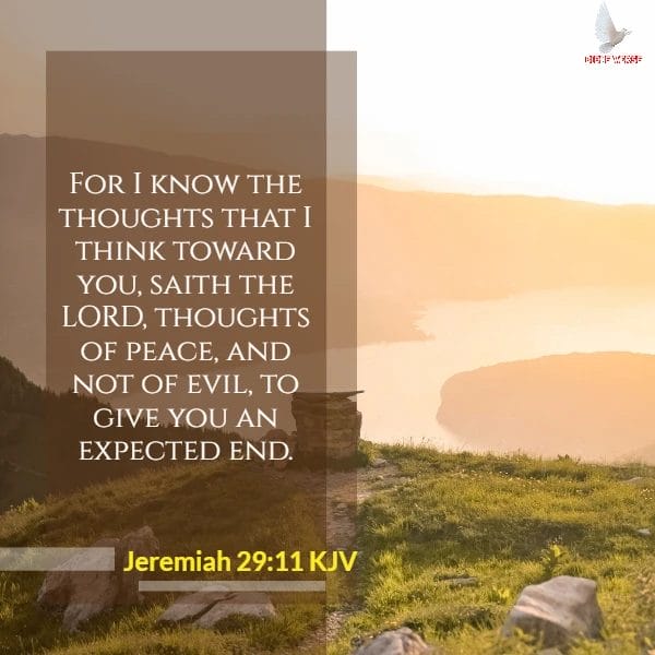 jeremiah 29 11 kjvbible verses on struggle images