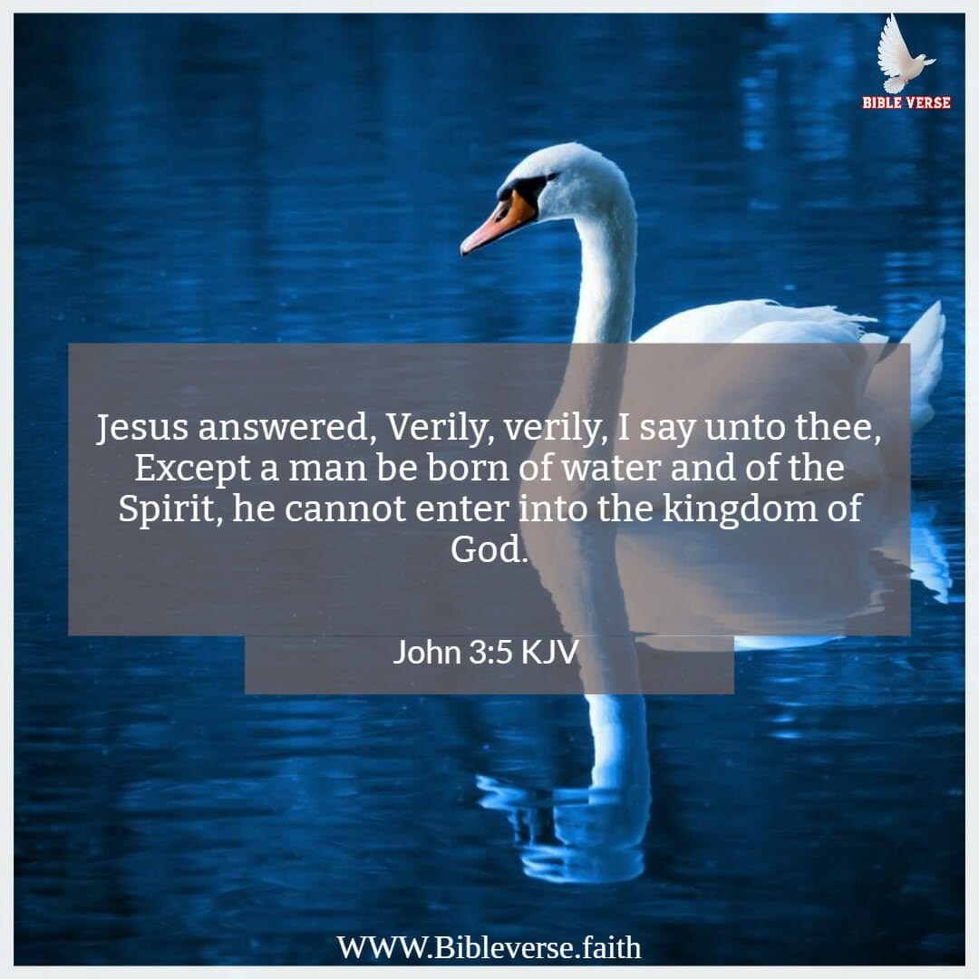 john 3 5 kjv bible verses about water images