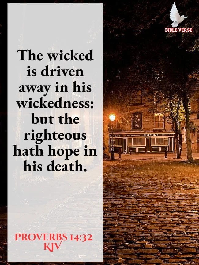 proverbs 14 32 kjv bible verses about sadness images