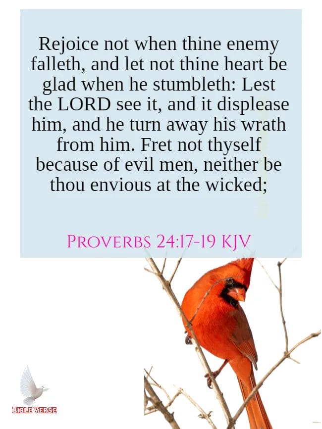 proverbs 24 17 19 kjv bible verses about revenge images