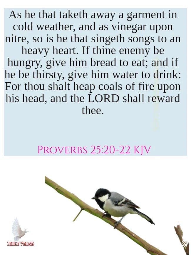 proverbs 25 20 22 kjv bible verses about revenge images