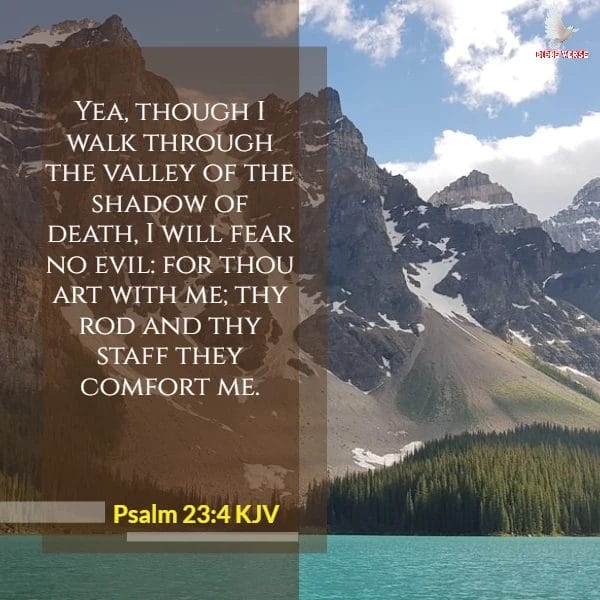  psalm 23 4 kjv bible verses on struggle images