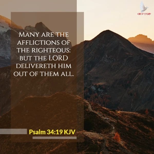 psalm 34 19 kjv bible verses on struggle images