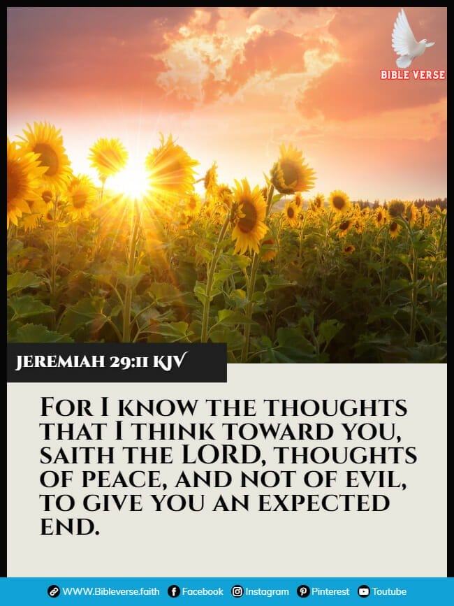 jeremiah 29 11 kjv bible verses about inspiration images