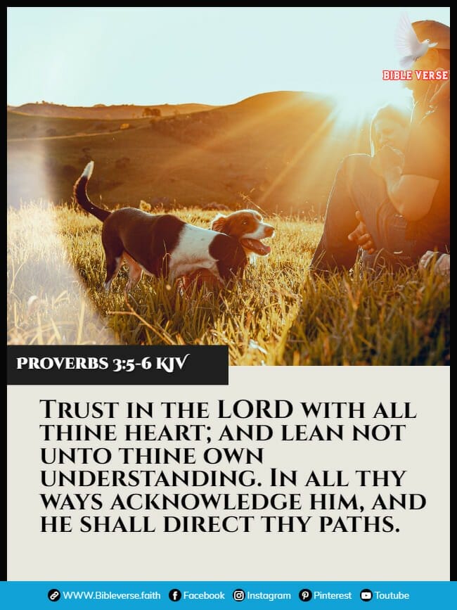 proverbs 3 5 6 kjv bible verses about inspiration images