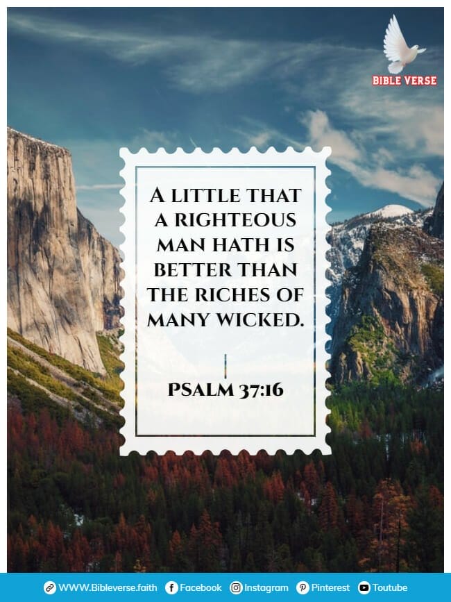 psalm 37 16 bible verses about contentment