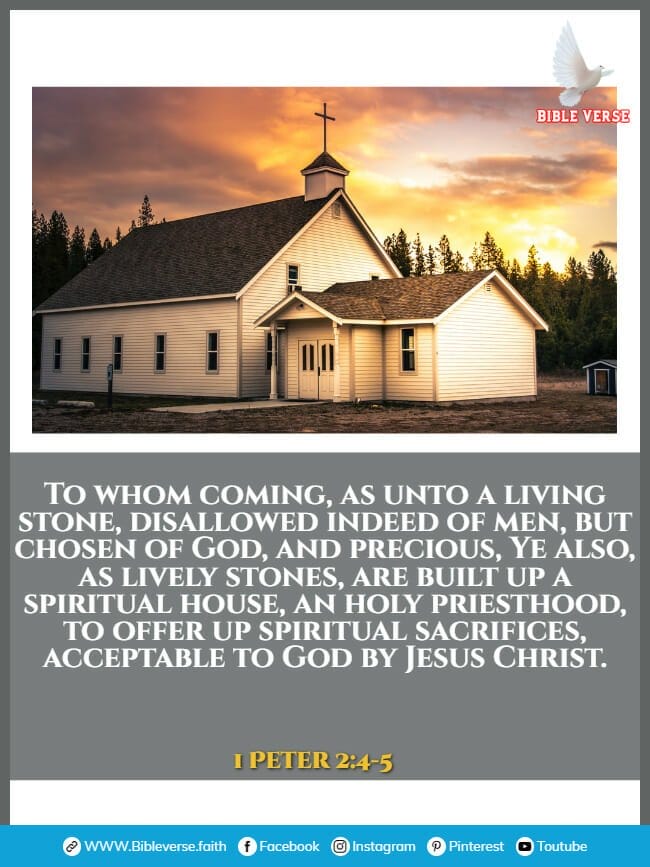 1 peter 2 4 5 bible verse about church building