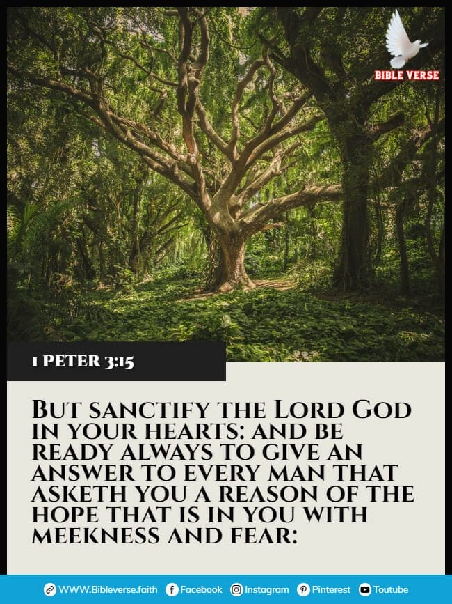 1 peter 3 15 bible verses about praying for enemies images