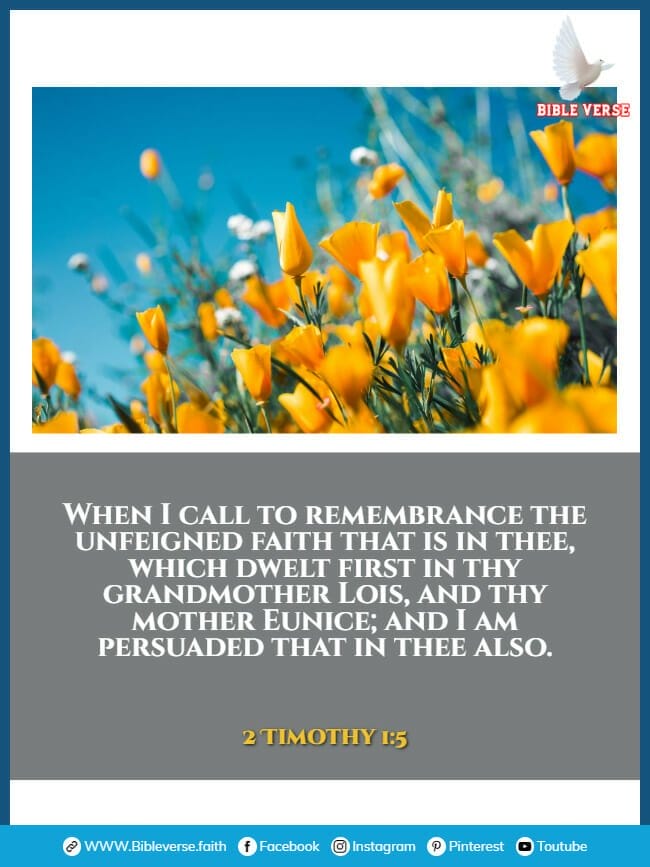2 timothy 1 5 bible verses on grandparents for images