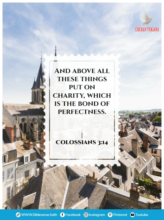 colossians 3 14 bible verse about unity in the church