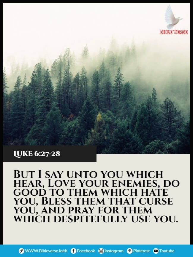 luke 6 27 28 bible verses about praying for enemies images