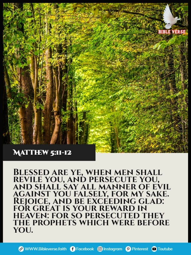 matthew 5 11 12 bible verses about praying for enemies images