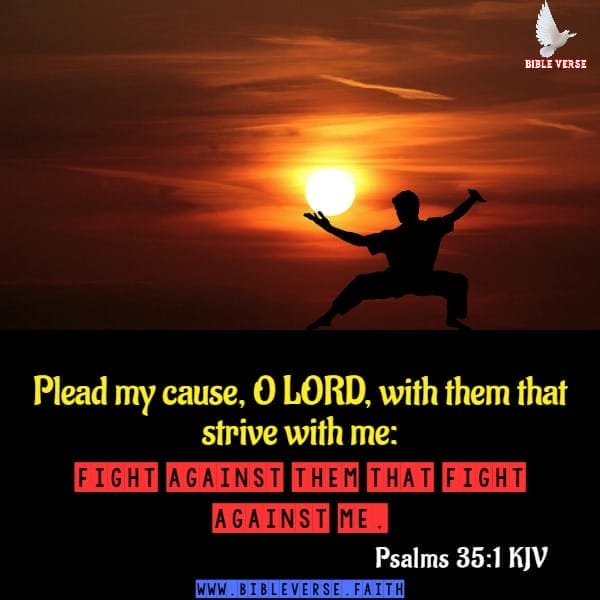 psalms 35 1 kjv bible verses of the day (3)